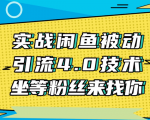 实战闲鱼被动引流4.0技术,坐等粉丝来找你,实操演示日加200+精准粉-阳知网创资源库