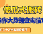 搬砖操作大数据查询信用项目赚钱教程,祝你快速月入6万-阳知网创资源库