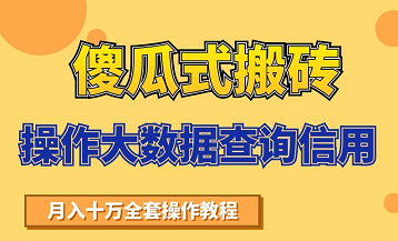搬砖操作大数据查询信用项目赚钱教程,祝你快速月入6万-阳知网创资源库