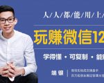 玩赚微信12招:这样玩微信,没钱没人脉也能在家多赚10万-阳知网创资源库