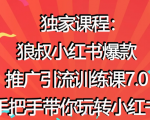 狼叔小红书爆款推广引流训练课7.0,手把手带你玩转小红书-阳知网创资源库