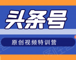 头条号原创视频特训营：一对一带你玩转短视频，新号10天日收益破252元-阳知网创资源库