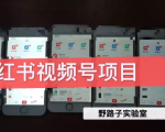 野路子小红书视频号1.0项目,直接上手操作就能赚钱的视频号项目-阳知网创资源库