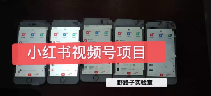 野路子小红书视频号1.0项目,直接上手操作就能赚钱的视频号项目-阳知网创资源库