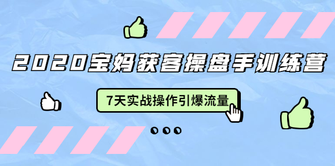 2020宝妈获客操盘手训练营:7天实战操作引爆 母婴、都市、购物宝妈流量-阳知网创资源库