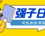 闲鱼高级课程：单号一个月一万左右 有基础的，批量玩的5万-10万都不是难事-阳知网创资源库