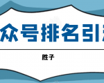 胜子老师微信公众号排名引流,微信10亿月活用户引流方法-阳知网创资源库