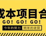低成本零成本项目合集:赚钱快的慢的、暴利的,线上线下的,价值万元资料-阳知网创资源库