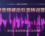 黄岛主·FM音频引流特训营2.0:独家引流模式,单账号50W+播放量,轻松变现-阳知网创资源库
