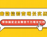 企业微信裂变增长实战课:带你搞定企业微信千万增长红利,新流量-新玩法-阳知网创资源库