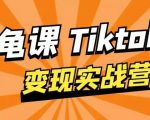 龟课·TikTok变现实战训练营线上第1期,多种变现模式,轻松赚美刀-阳知网创资源库