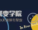 30天视频号成长营:视频号制作筹备+视频剪辑+视频号运营+引流变现-阳知网创资源库