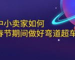 淘宝中小卖家如何利用春节期间做好弯道超车,如何做到月销售额20W+-阳知网创资源库