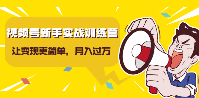 视频号新手实战训练营,让变现更简单,玩赚视频号,轻松月入过万-阳知网创资源库