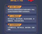 数据蛇淘宝2021最新三大补单玩法+稽查规则，降低90%被抓概率-阳知网创资源库