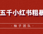 月入五千小红书粗暴赚钱玩法,适合上班族的赚钱副业-阳知网创资源库