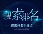 搜索排名引爆点:教你快速掌握各个搜索引擎排名算法,让客户主动找上你的秘笈-阳知网创资源库