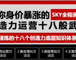 让你的身价暴涨的创造力运营十八般武艺 高度提炼的18个创造力底层知识体系-阳知网创资源库