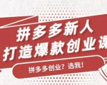 拼多多新人打造爆款创业课:快速引流持续出单,适用于所有新人-阳知网创资源库