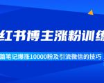 小红书博主涨粉训练营:一篇笔记爆涨10000粉及引流微信的技巧-阳知网创资源库