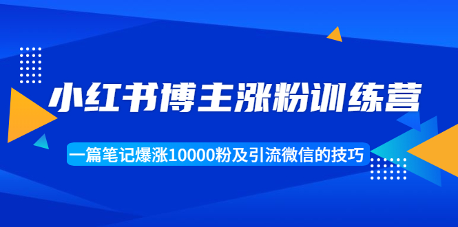小红书博主涨粉训练营:一篇笔记爆涨10000粉及引流微信的技巧-阳知网创资源库
