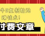 —牛B复制粘贴赚钱术!牛逼持久收入极品闷声发财项目,首发揭秘独此一家!-阳知网创资源库