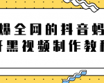 火爆全网的抖音“蚂蚁牙黑”视频制作教程,附软件【视频教程】-阳知网创资源库