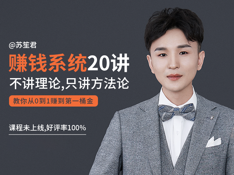 苏笙君的赚钱系统20课 教你从0到1赚到你的第一桶金(不讲理论,只讲方法论)-阳知网创资源库