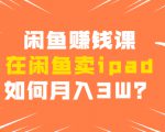 闲鱼赚钱课:在闲鱼卖ipad,如何月入3W?详细操作教程-阳知网创资源库