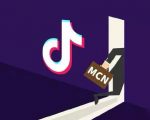 抖音MCN孵化课程,帮助商家拓客,帮助达人更好变现的课程,从0基础到超级IP-阳知网创资源库