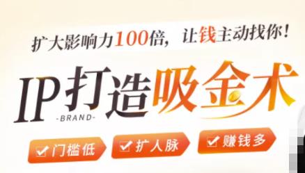 IP打造吸金术:0基础0资源,也能扩大影响力100倍,让钱主动找你!-阳知网创资源库