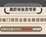 暴利偏门项目全套合集视频教程:你要的日赚1000+月入几万+项目都有-阳知网创资源库