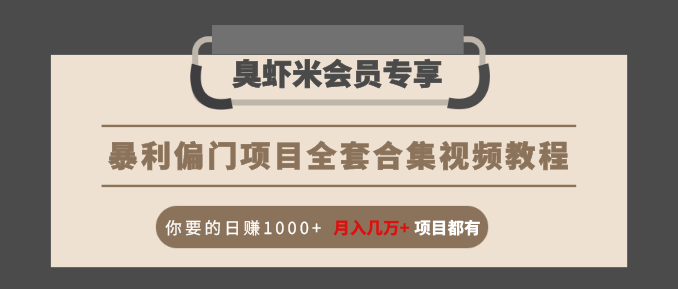 暴利偏门项目全套合集视频教程:你要的日赚1000+月入几万+项目都有-阳知网创资源库