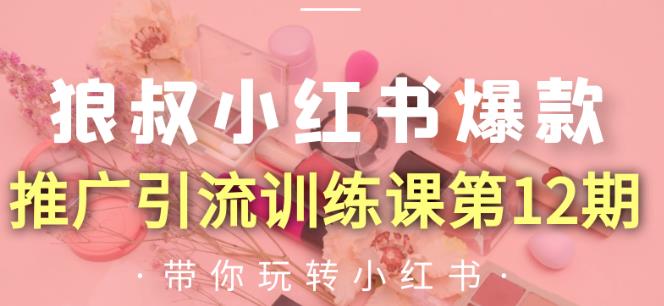 狼叔小红书爆款推广引流训练课第12期,手把手带你玩转小红书-阳知网创资源库