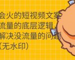 只说话就会火的短视频文案课,从根本上解决没流量的问题-阳知网创资源库