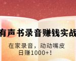 有声书录音赚钱实战：在家录音，动动嘴皮，日赚1000+！-阳知网创资源库