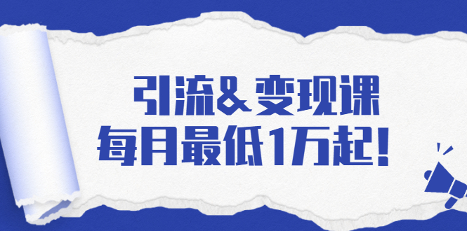 引流&变现课：分享一整套流量方法以及各个渠道收入，每月最低1万起！-阳知网创资源库