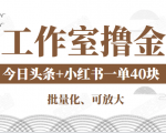 工作室撸金二件套：撸今日头条原创收益+小红书一单利润40块项目-阳知网创资源库