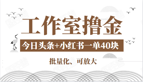 工作室撸金二件套:撸今日头条原创收益+小红书一单利润40块项目-阳知网创资源库