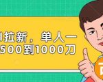 Paypal拉新赚美刀项目,单人一天利润500-1000刀【视频课程】-阳知网创资源库