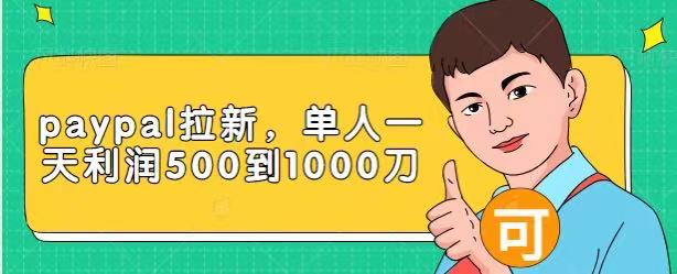 Paypal拉新赚美刀项目，单人一天利润500-1000刀【视频课程】-阳知网创资源库
