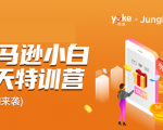 雨课·亚马逊小白特训营第9期 跨境电商挺赚钱的 有朋友已经月入几十万美金-阳知网创资源库