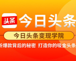 今日头条变现学院·打造你的吸金头条账号,打造10W+实操方法 价值2298元-阳知网创资源库