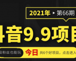 抖音9.9课程项目，没粉丝也能卖课，一天300+粉易变现-阳知网创资源库