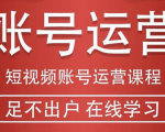 短视频账号运营课程:从话术到短视频运营再到直播带货全流程,新人快速入门-阳知网创资源库
