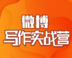 村西边老王·微博超级写作实战营，帮助你粉丝猛涨价值999元-阳知网创资源库