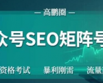 高鹏圈公众号SEO矩阵号群,实操20天纯收益25000+,普通人都能做-阳知网创资源库