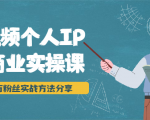 短视频个人IP商业实操课,百万粉丝实战方法分享,小白也能实现流量变现-阳知网创资源库
