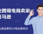 职业跨境电商卖家聊亚马逊：亚马逊运营的10项必备知识，12堂课让你看懂亚马逊运营-阳知网创资源库
