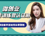 微创业全能训练营认证班课程,从理论知识与实际案例手把手指导创业新手如何从零到有-阳知网创资源库